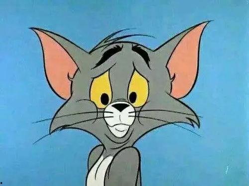 新猫新鼠爆料视频大全下载,揭秘幕后精彩瞬间 第1张 新猫新鼠爆料视频大全下载,揭秘幕后精彩瞬间 第1张